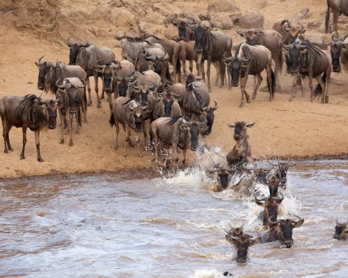 Masai Mara Hotspots: 10 Breathtaking Destinations For your Safari